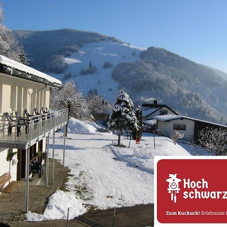 Steiert Panorama Apartments Todtnau Exterior photo