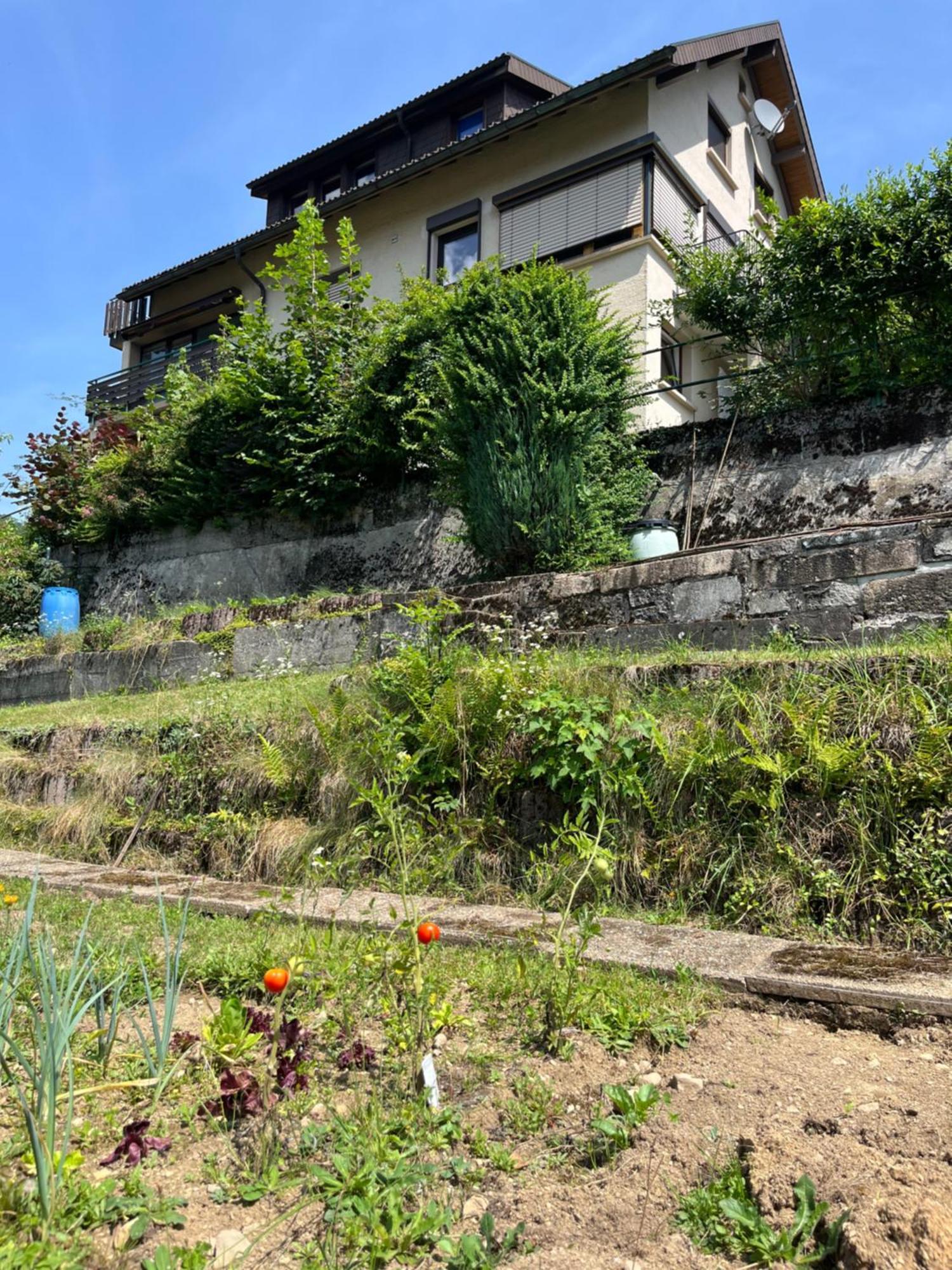 Steiert Panorama Apartments Todtnau Exterior photo