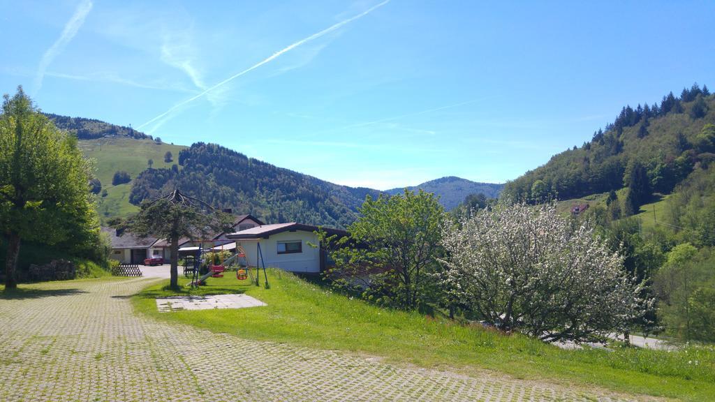 Steiert Panorama Apartments Todtnau Exterior photo