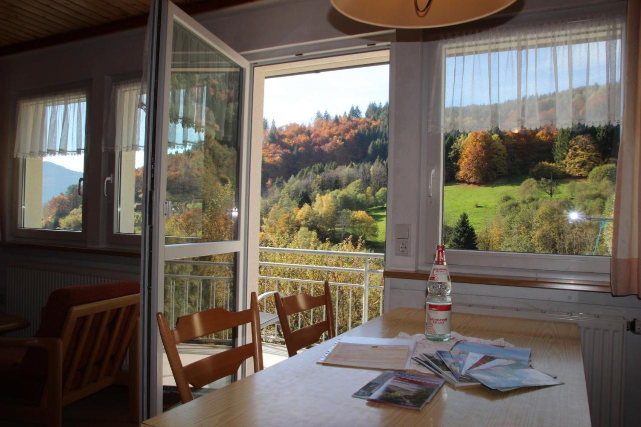 Steiert Panorama Apartments Todtnau Exterior photo