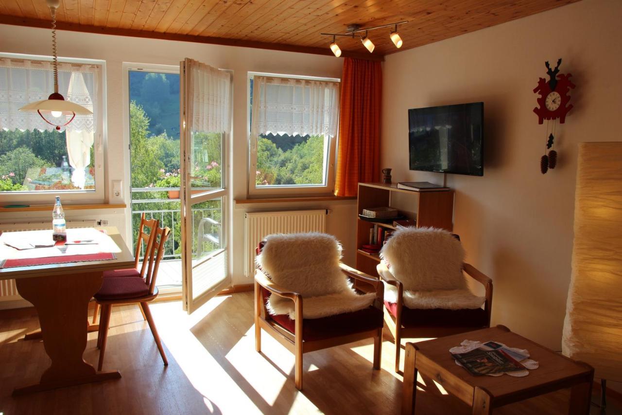 Steiert Panorama Apartments Todtnau Exterior photo