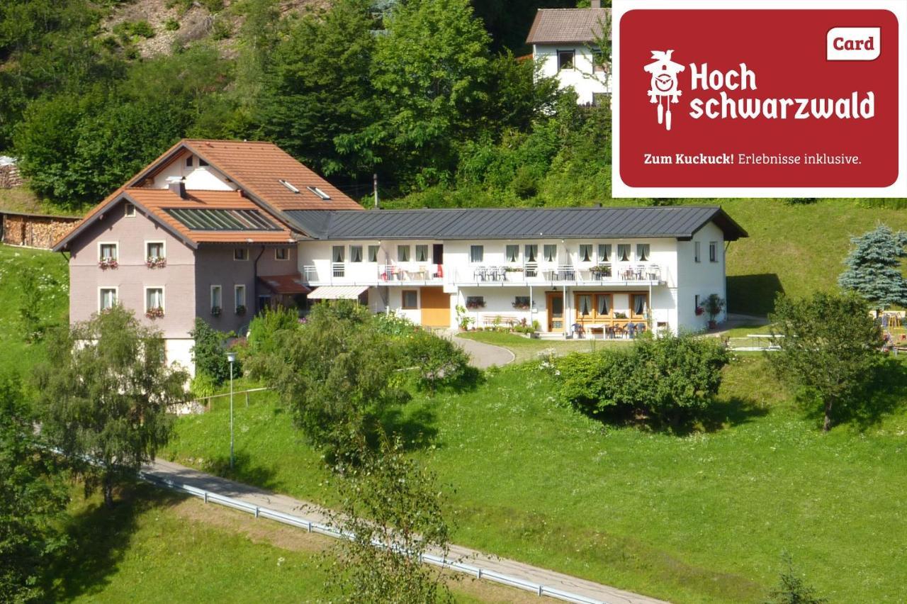 Steiert Panorama Apartments Todtnau Exterior photo